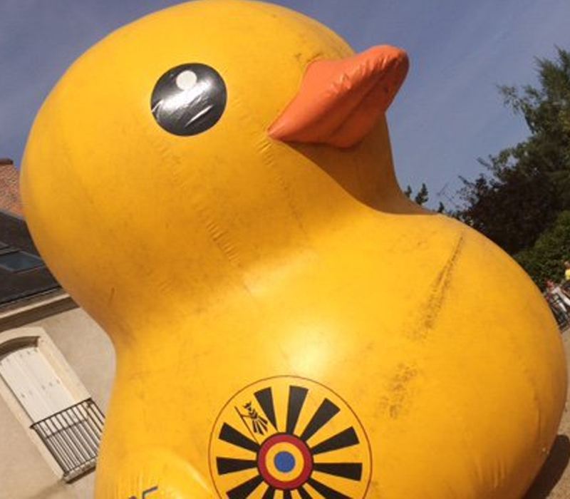 Amboise : une Duck Race sans canard en plastique dans la Loire